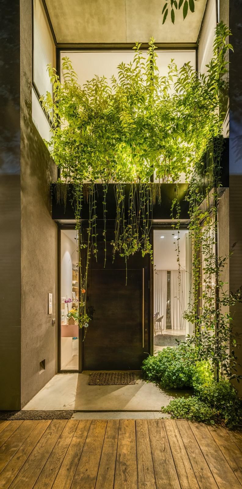 אדריכלות נוף - גינה מעוצבת